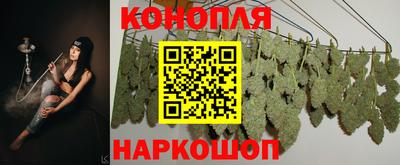 шишки Кунгур
