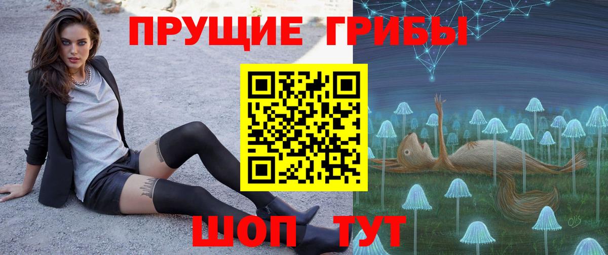 Галлюциногенные грибы прущие грибы Верхняя Пышма